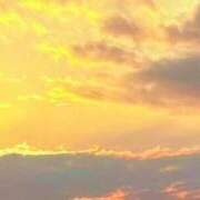 ヒメ日記 2025/11/17 05:12 投稿 みと 出会い系人妻ネットワーク さいたま～大宮編