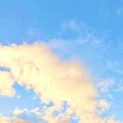 ヒメ日記 2025/11/21 05:02 投稿 みと 出会い系人妻ネットワーク さいたま～大宮編