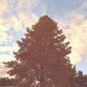 ヒメ日記 2025/11/22 19:52 投稿 みと 出会い系人妻ネットワーク さいたま～大宮編