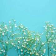 ヒメ日記 2025/11/23 21:52 投稿 みと 出会い系人妻ネットワーク さいたま～大宮編