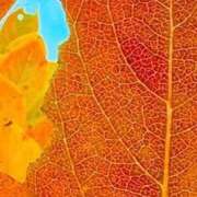 ヒメ日記 2025/11/24 20:32 投稿 みと 出会い系人妻ネットワーク さいたま～大宮編