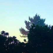 ヒメ日記 2025/11/26 18:42 投稿 みと 出会い系人妻ネットワーク さいたま～大宮編