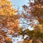 ヒメ日記 2025/11/28 20:52 投稿 みと 出会い系人妻ネットワーク さいたま～大宮編