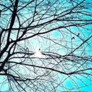 ヒメ日記 2025/12/01 05:12 投稿 みと 出会い系人妻ネットワーク さいたま～大宮編