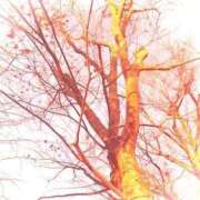 ヒメ日記 2025/12/06 18:22 投稿 みと 出会い系人妻ネットワーク さいたま～大宮編