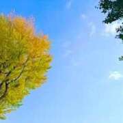 ヒメ日記 2025/12/07 16:42 投稿 みと 出会い系人妻ネットワーク さいたま～大宮編