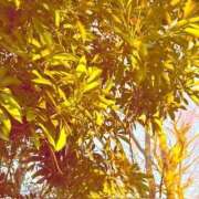 ヒメ日記 2025/12/08 19:23 投稿 みと 出会い系人妻ネットワーク さいたま～大宮編