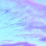 ヒメ日記 2025/12/09 05:02 投稿 みと 出会い系人妻ネットワーク さいたま～大宮編