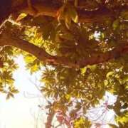 ヒメ日記 2025/12/11 19:47 投稿 みと 出会い系人妻ネットワーク さいたま～大宮編