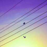 ヒメ日記 2025/12/13 08:52 投稿 みと 出会い系人妻ネットワーク さいたま～大宮編