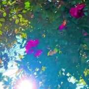 ヒメ日記 2025/12/14 09:17 投稿 みと 出会い系人妻ネットワーク さいたま～大宮編