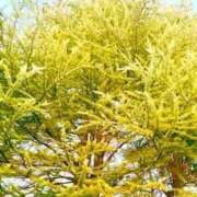 ヒメ日記 2025/12/19 19:52 投稿 みと 出会い系人妻ネットワーク さいたま～大宮編