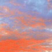 ヒメ日記 2025/12/20 19:02 投稿 みと 出会い系人妻ネットワーク さいたま～大宮編