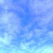 ヒメ日記 2025/12/26 05:12 投稿 みと 出会い系人妻ネットワーク さいたま～大宮編