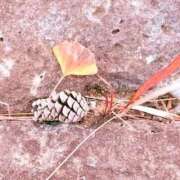 ヒメ日記 2025/12/26 21:02 投稿 みと 出会い系人妻ネットワーク さいたま～大宮編