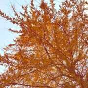 ヒメ日記 2025/12/27 19:22 投稿 みと 出会い系人妻ネットワーク さいたま～大宮編