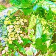 ヒメ日記 2025/12/28 19:52 投稿 みと 出会い系人妻ネットワーク さいたま～大宮編