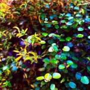 ヒメ日記 2025/12/31 07:31 投稿 みと 出会い系人妻ネットワーク さいたま～大宮編