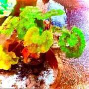 ヒメ日記 2026/01/02 19:22 投稿 みと 出会い系人妻ネットワーク さいたま～大宮編