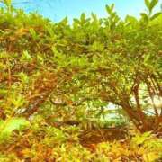 ヒメ日記 2026/01/02 20:12 投稿 みと 出会い系人妻ネットワーク さいたま～大宮編