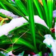 ヒメ日記 2026/01/03 21:52 投稿 みと 出会い系人妻ネットワーク さいたま～大宮編