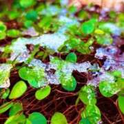 ヒメ日記 2026/01/04 16:32 投稿 みと 出会い系人妻ネットワーク さいたま～大宮編