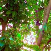 ヒメ日記 2026/01/11 17:22 投稿 みと 出会い系人妻ネットワーク さいたま～大宮編