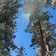 ヒメ日記 2026/01/12 11:42 投稿 みと 出会い系人妻ネットワーク さいたま～大宮編