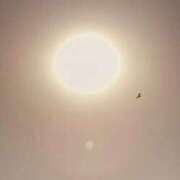 ヒメ日記 2026/01/18 13:32 投稿 みと 出会い系人妻ネットワーク さいたま～大宮編