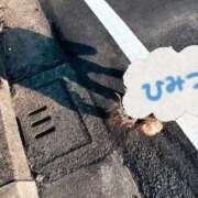 ヒメ日記 2026/01/18 17:12 投稿 みと 出会い系人妻ネットワーク さいたま～大宮編