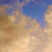 ヒメ日記 2026/01/23 19:52 投稿 みと 出会い系人妻ネットワーク さいたま～大宮編