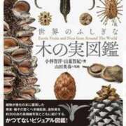ヒメ日記 2026/01/28 20:02 投稿 みと 出会い系人妻ネットワーク さいたま～大宮編