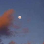 ヒメ日記 2026/01/31 19:52 投稿 みと 出会い系人妻ネットワーク さいたま～大宮編