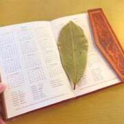 ヒメ日記 2026/02/15 19:42 投稿 みと 出会い系人妻ネットワーク さいたま～大宮編