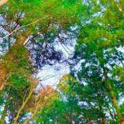 ヒメ日記 2026/02/16 20:02 投稿 みと 出会い系人妻ネットワーク さいたま～大宮編