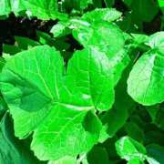 ヒメ日記 2026/02/24 19:52 投稿 みと 出会い系人妻ネットワーク さいたま～大宮編