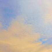 ヒメ日記 2026/03/01 05:02 投稿 みと 出会い系人妻ネットワーク さいたま～大宮編