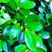 ヒメ日記 2026/03/03 20:02 投稿 みと 出会い系人妻ネットワーク さいたま～大宮編