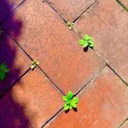 ヒメ日記 2026/03/07 14:02 投稿 みと 出会い系人妻ネットワーク さいたま～大宮編