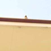 ヒメ日記 2026/03/08 13:52 投稿 みと 出会い系人妻ネットワーク さいたま～大宮編