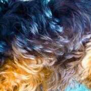 ヒメ日記 2026/03/08 16:52 投稿 みと 出会い系人妻ネットワーク さいたま～大宮編