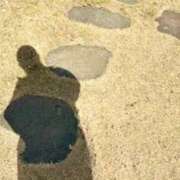 ヒメ日記 2026/03/10 20:02 投稿 みと 出会い系人妻ネットワーク さいたま～大宮編