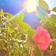 ヒメ日記 2026/03/13 18:52 投稿 みと 出会い系人妻ネットワーク さいたま～大宮編