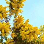 ヒメ日記 2026/03/13 19:15 投稿 みと 出会い系人妻ネットワーク さいたま～大宮編