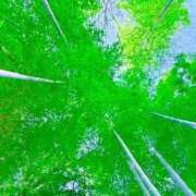 ヒメ日記 2026/03/13 19:52 投稿 みと 出会い系人妻ネットワーク さいたま～大宮編