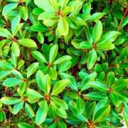 ヒメ日記 2026/03/14 21:32 投稿 みと 出会い系人妻ネットワーク さいたま～大宮編