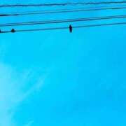 ヒメ日記 2026/03/14 21:42 投稿 みと 出会い系人妻ネットワーク さいたま～大宮編