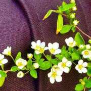 ヒメ日記 2026/03/15 21:42 投稿 みと 出会い系人妻ネットワーク さいたま～大宮編