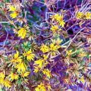 ヒメ日記 2026/03/16 20:12 投稿 みと 出会い系人妻ネットワーク さいたま～大宮編