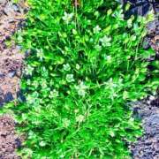 ヒメ日記 2026/03/17 19:02 投稿 みと 出会い系人妻ネットワーク さいたま～大宮編